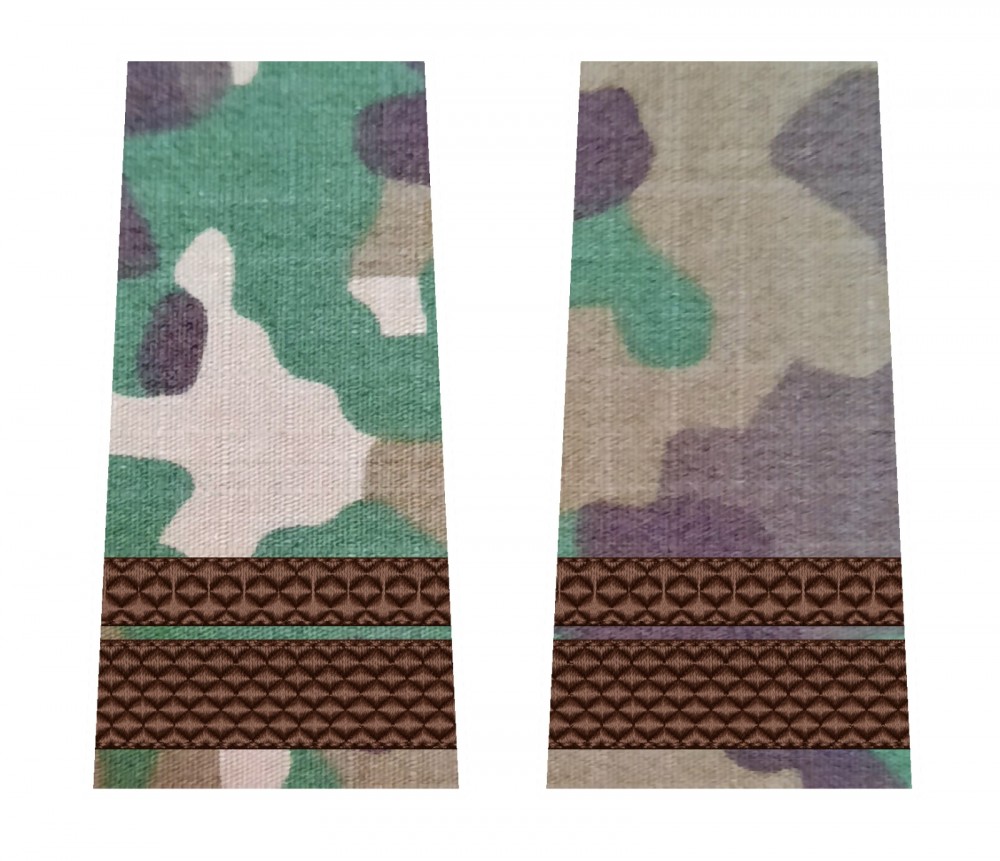 GRADE SERGENT MAJOR COMBAT FORTE TERESTRE